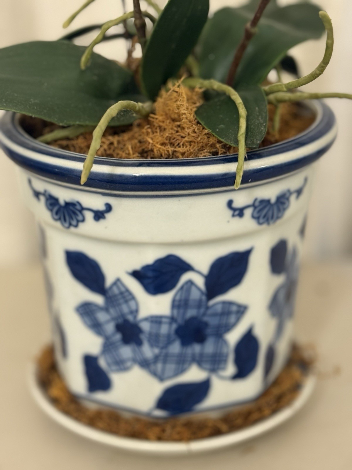 16″ Faux White Orchid Artificial Floral Arrangement Blue White Chinoiserie Pot