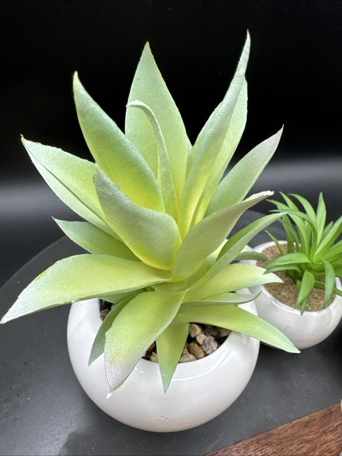 Faux Succulent Plant Set Desk – Realistic Coastal Western Scandi Boho Lot Of 5
