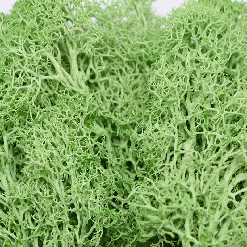 20g/40g Moss Grass Artificial Plant Eternal Life Moss DIY Home Garden Decor NEW