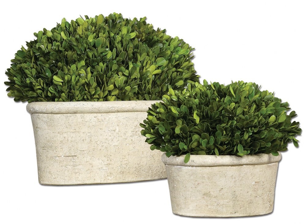 Preserved Boxwood – 14 inch Oval Dome Topiary (Set of 2) Accessories Uttermost