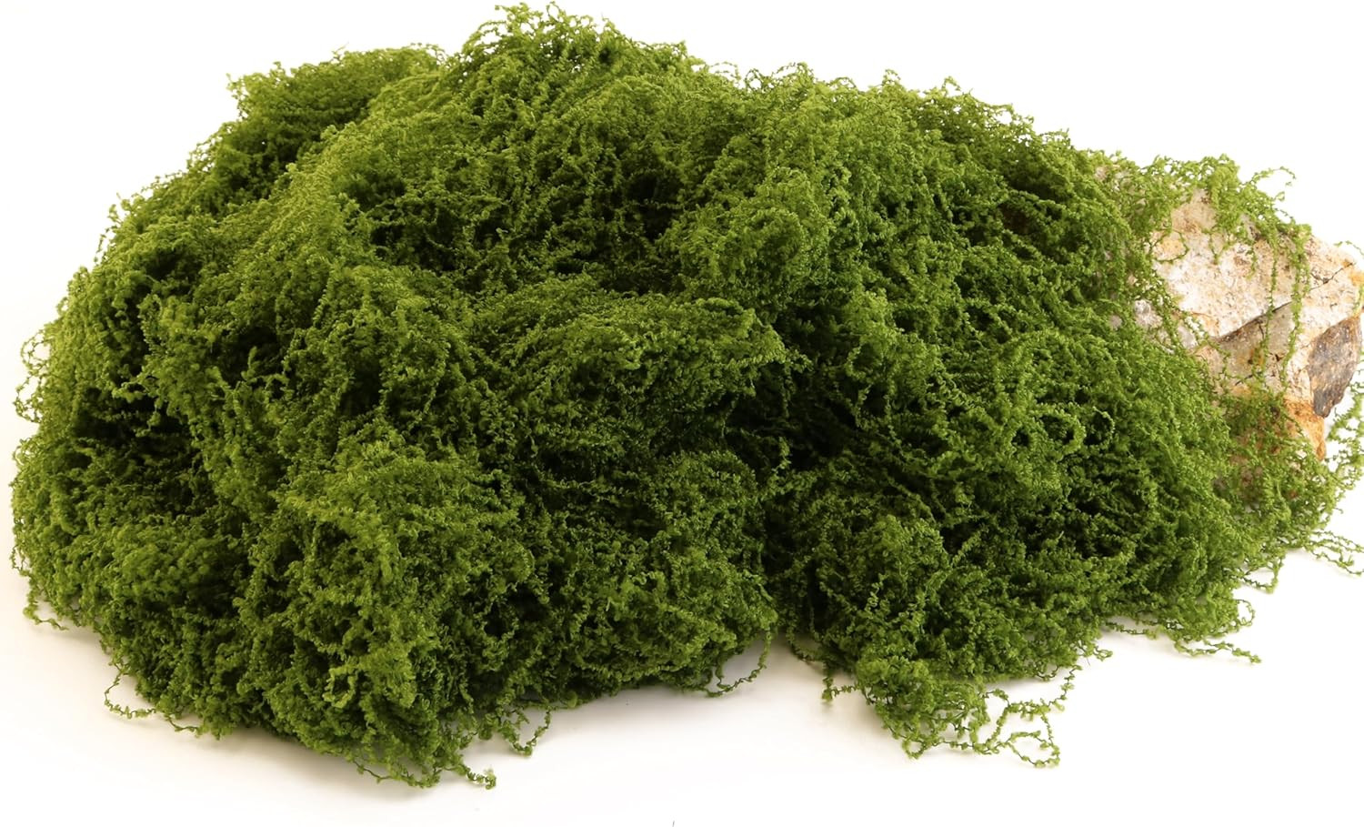 Green Moss Crafts, Artificial Grass Forest Potted Plants, DIY Craft Decoration f