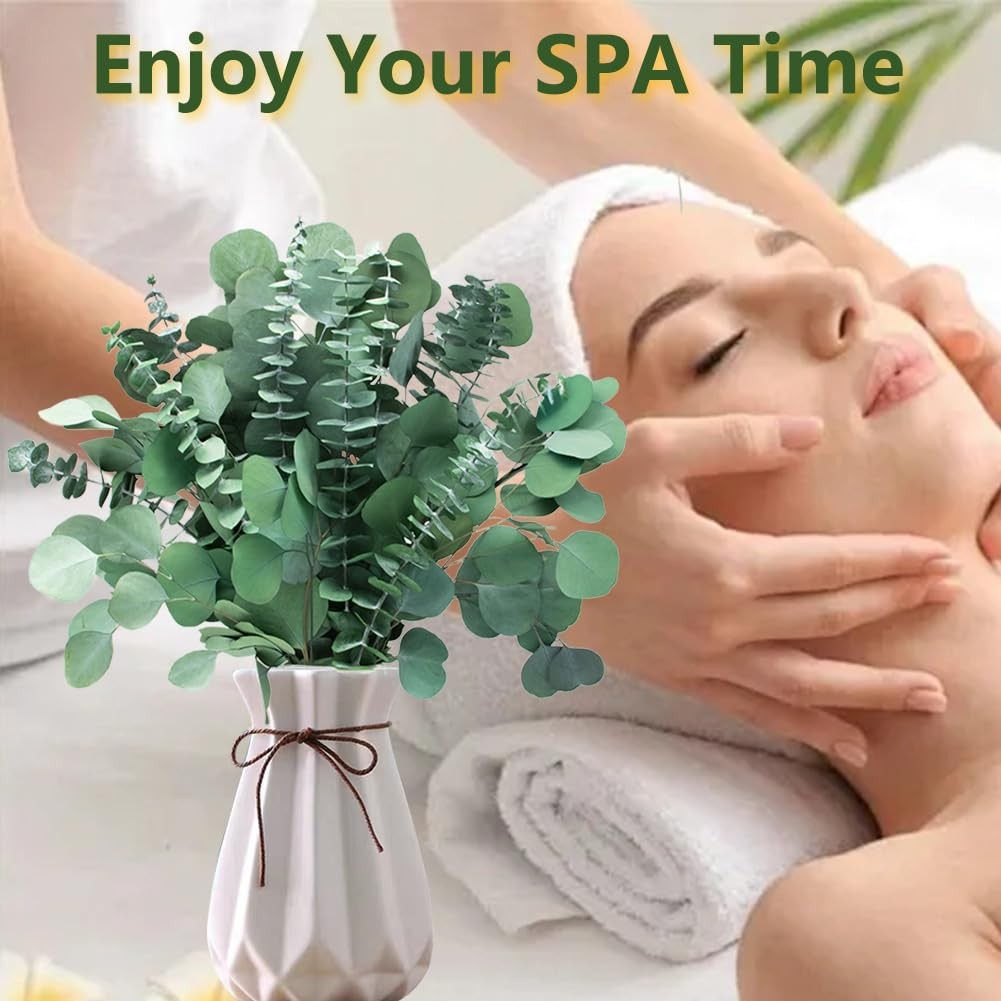 Dried Eucalyptus Stems 24pcs 17” Silver Dollar & Large Leaves for Shower – Spa