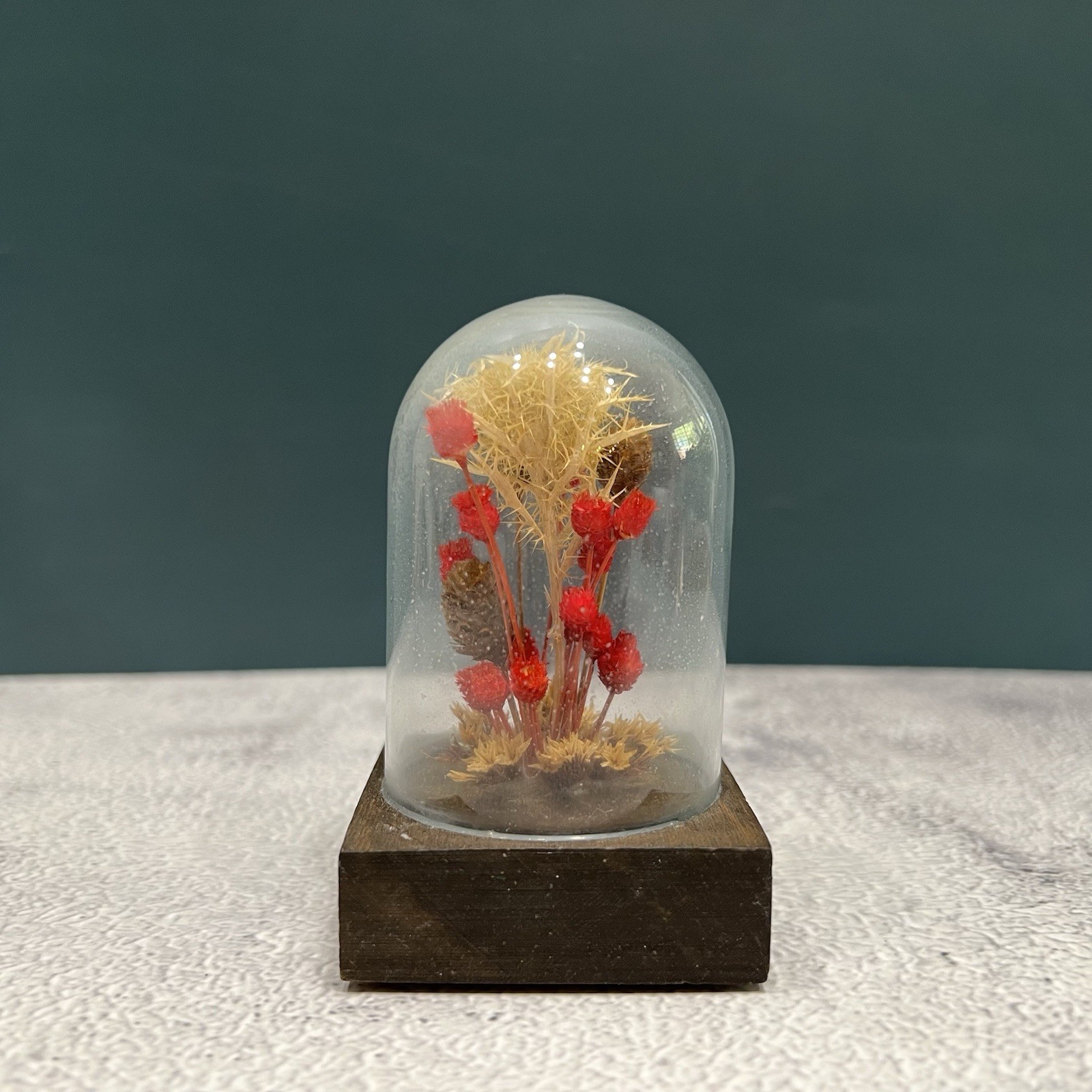Vintage 70s Mid Century Modern Mini Dried Floral Cloche Flower Dome Terrarium