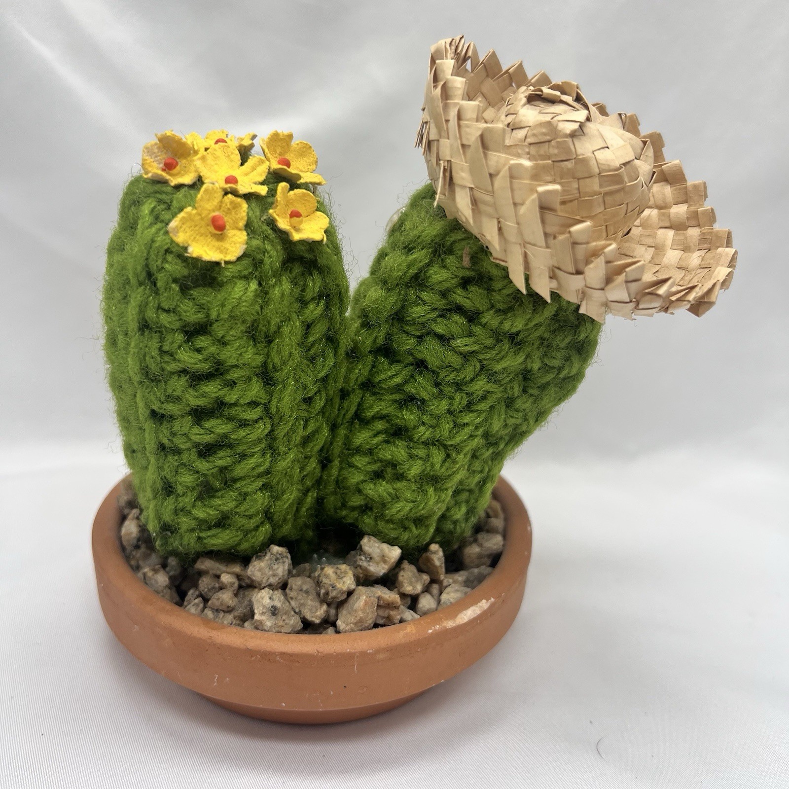 5 1/2” Crocheted / Knitted Potted Cactus Plant In Rock Bed Google Eyes
