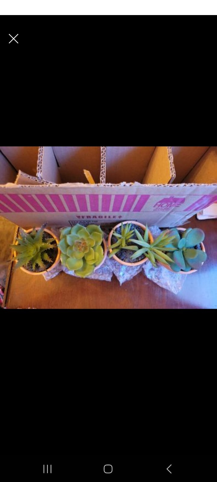 Set Of 8 Mini Faux Succulents With Terracotta Pots perfect for wedding favors