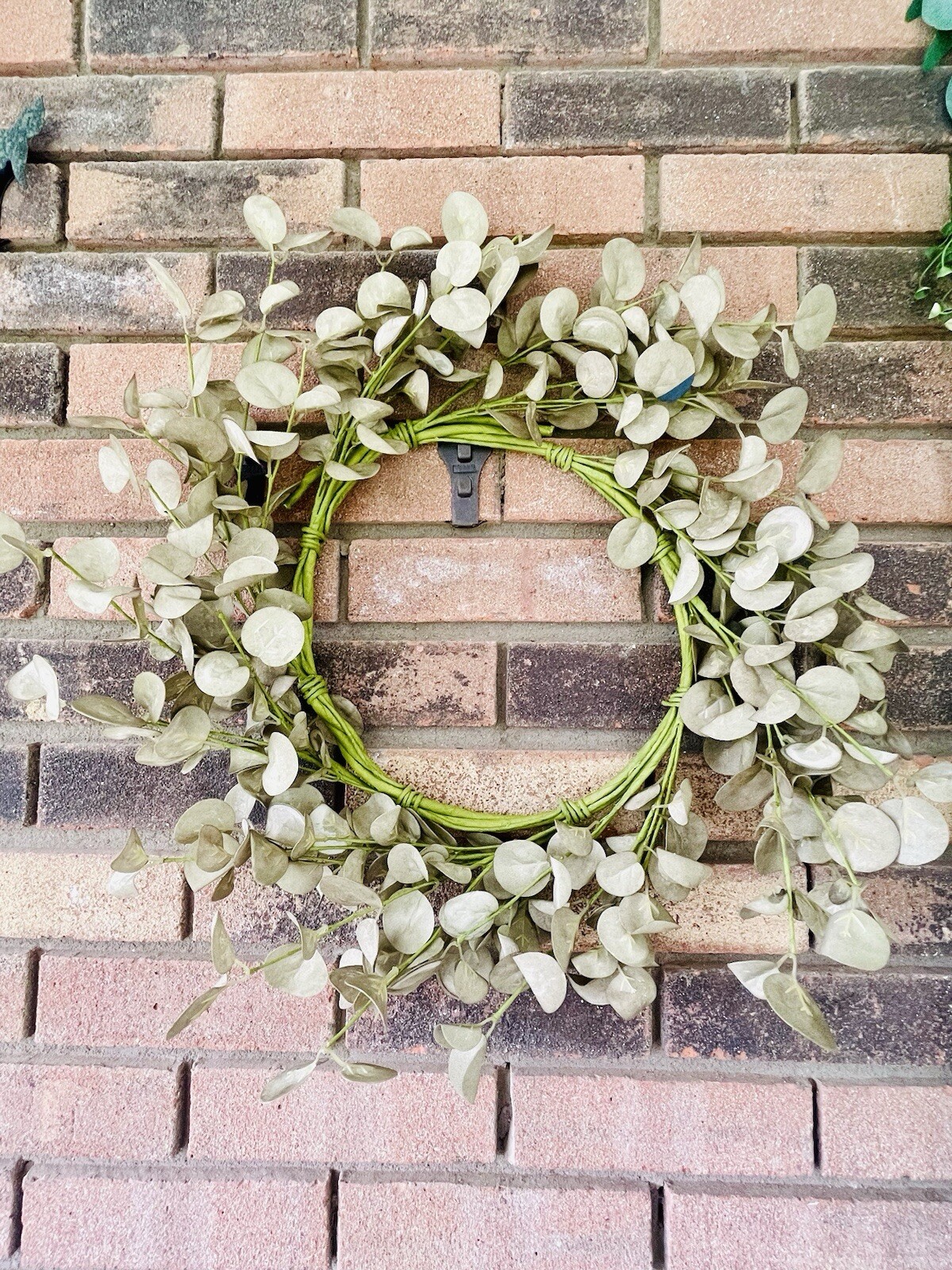 Foamy Silver Dollar Wreath, Sage, 20”