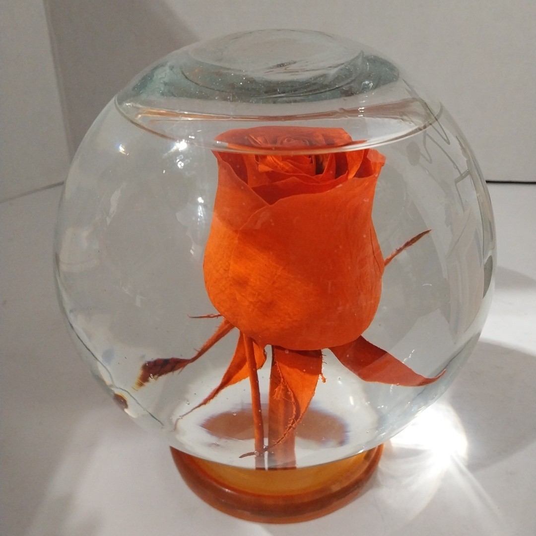 Forever ROSE Preserved In Glass Ball Water Dome Globe Large Real Rose 6×6 in.