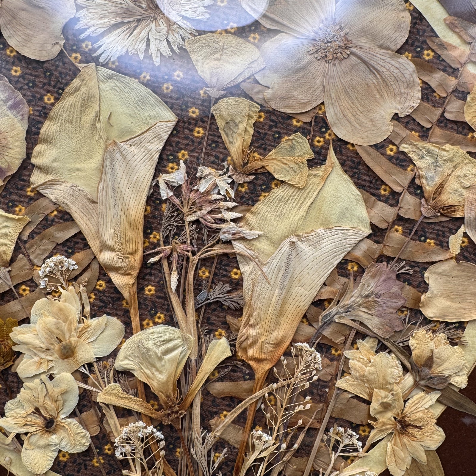 Vintage Pressed Dried Flower Art Wooded Botanical Frame Signed by Artist