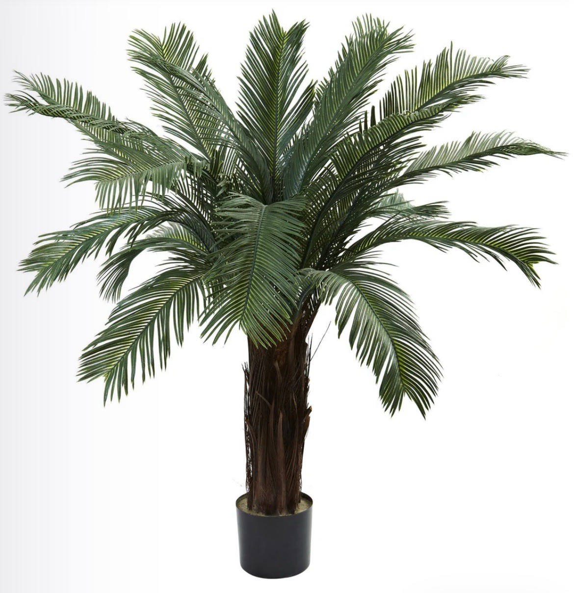 3’ Cycas Tree UV Resistant (Indoor/Outdoor) 6817 – B5