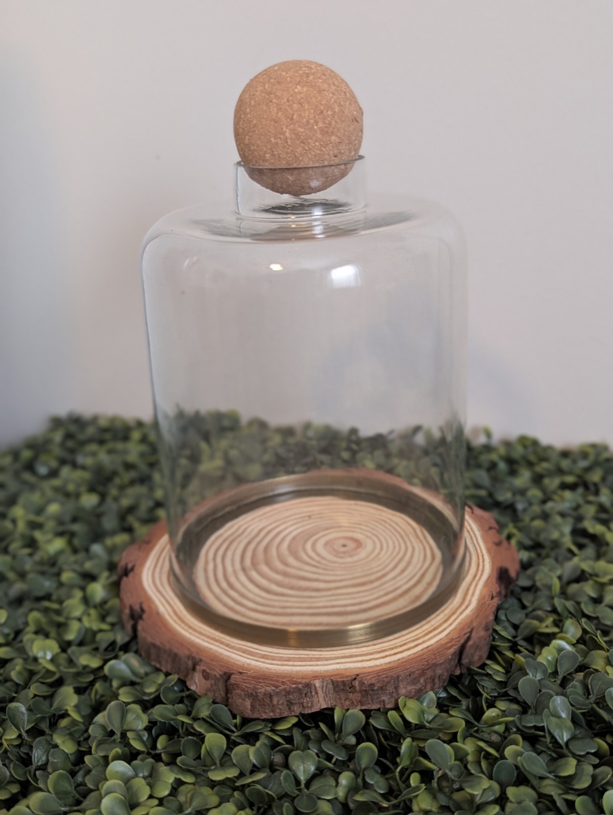 Upcycled Terrarium Cloche Centerpiece Glass On Wood Slice