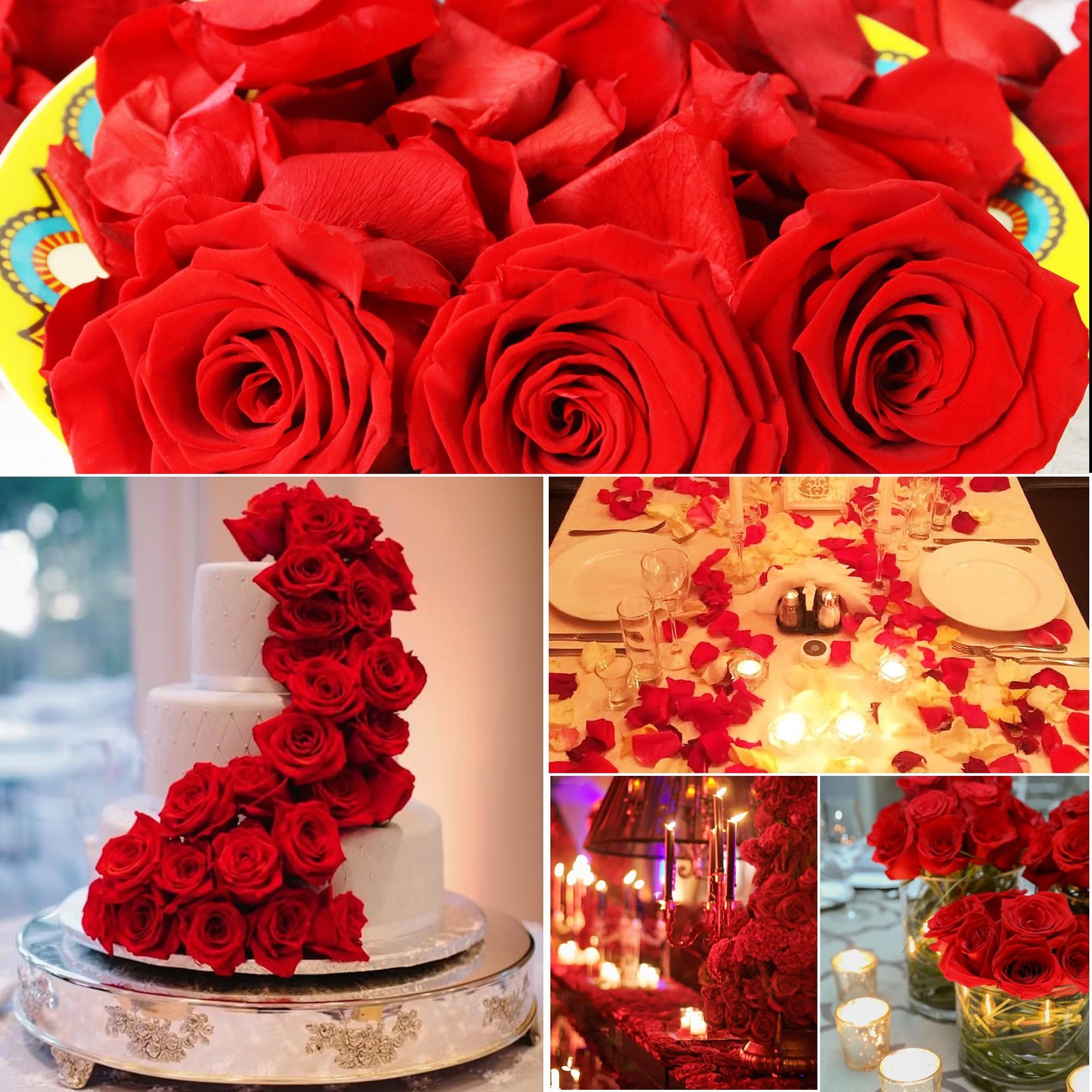 Dried Real Red Rose Petals 2.1oz Freeze Preserved Wedding Confetti Decor Flower