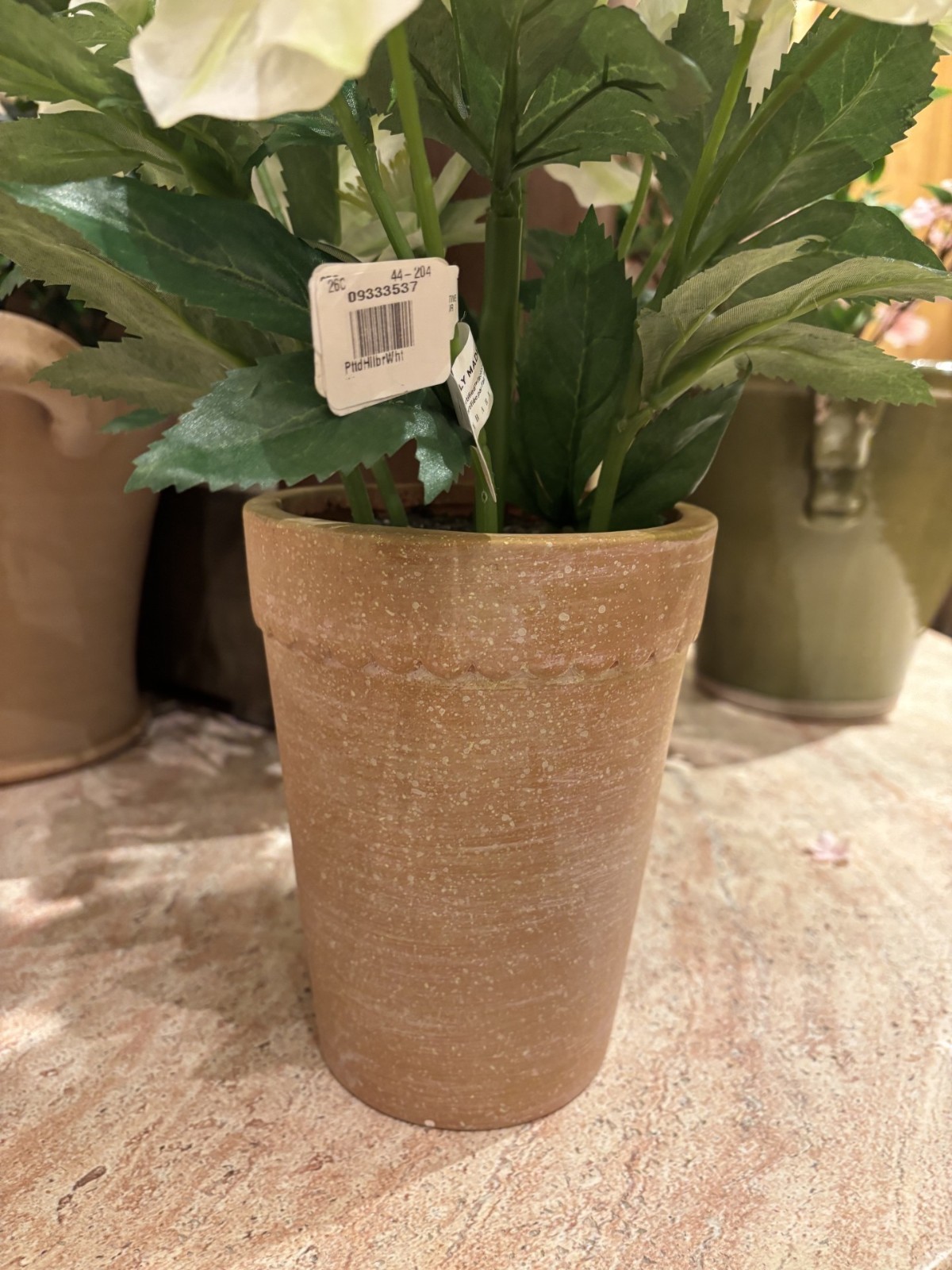 NEW Pottery Barn Faux White Hellebore Floral Flowers Terra Cotta Potted Plant