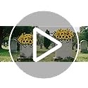 Lodou Artificial Cemetery Flowers for Grave,Headstone Flower Saddle Silk Sunflow