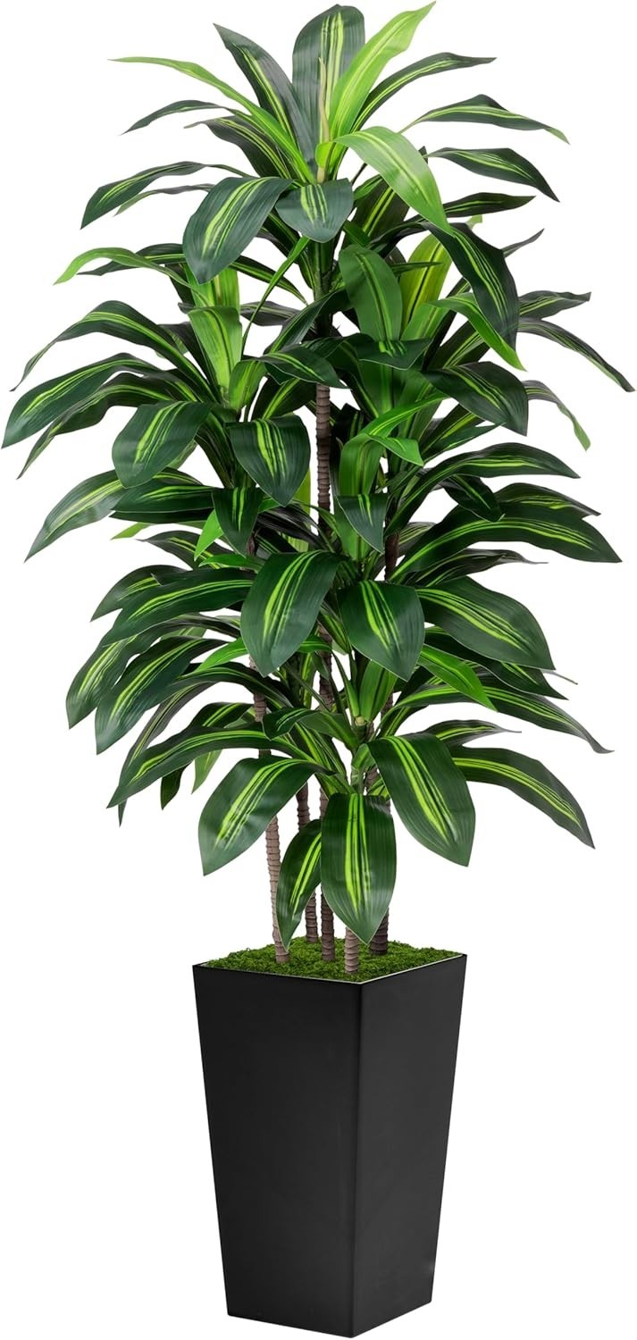 Vibrant 5ft Dracaena Tree, Realistic Silk Plant, Easy Care, Black Pot