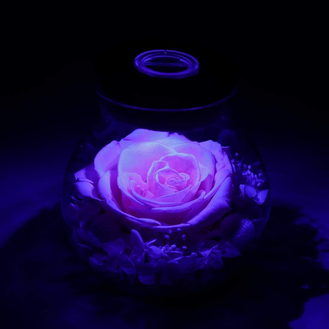 Eternal Pink Preserved Rose in Colorful Mood Light Wishing Bottle – 4.3inch