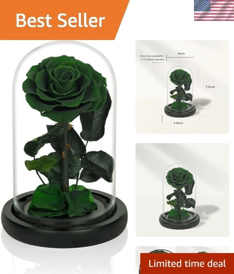 Elegant Handmade Preserved Roses in Glass Dome – Lasting Green Floral Gift