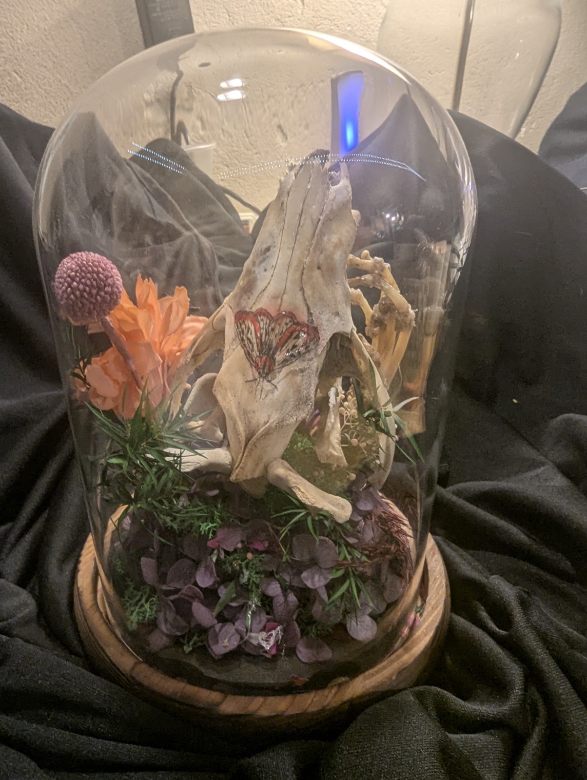 Decorative Glass Dome with Animal Skull and Floral Arrangement