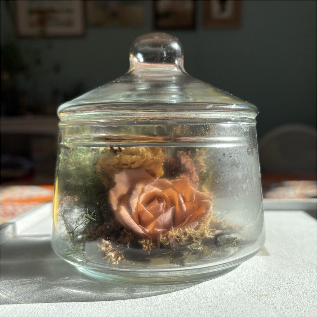 Natural Expressions Freeze-Dried Rose Arrangement in Glass Jar, Peach Green