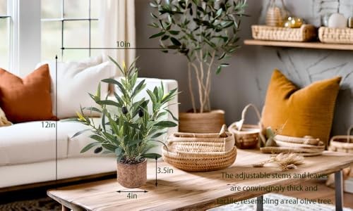 Indoor Fake Olive Plant 12 inch Faux Silk Leaves with Black Rustic Plant a