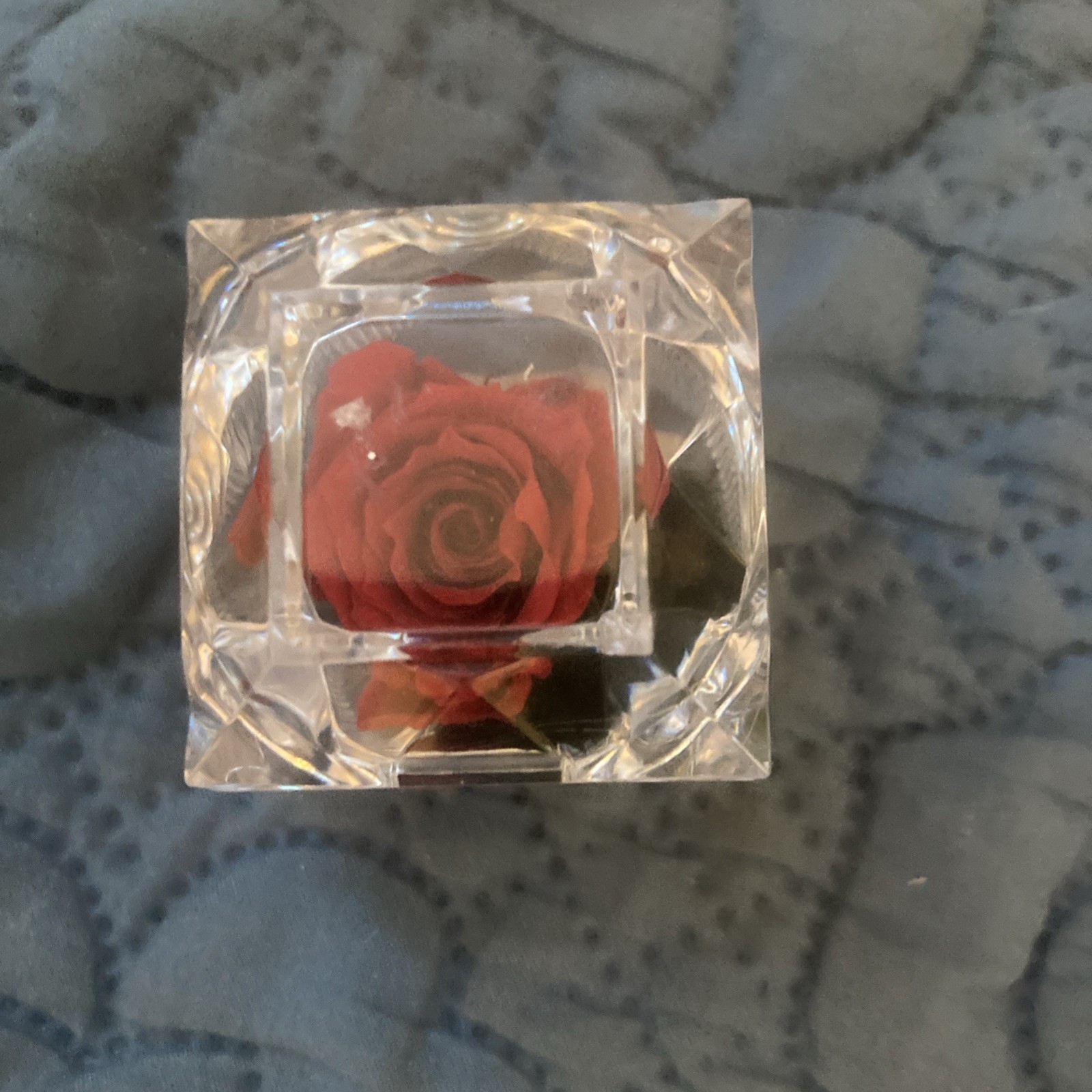 Verdissimo Preserved Eternity Forever Red Rose In Ring Box Valentine