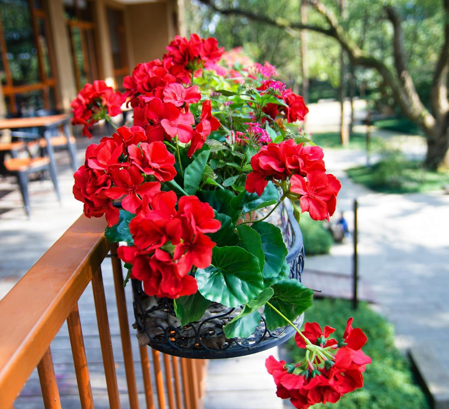 2PCS 18” Artificial Geraniums Silk Flowers Plants Home Outdoor Decor Garden …