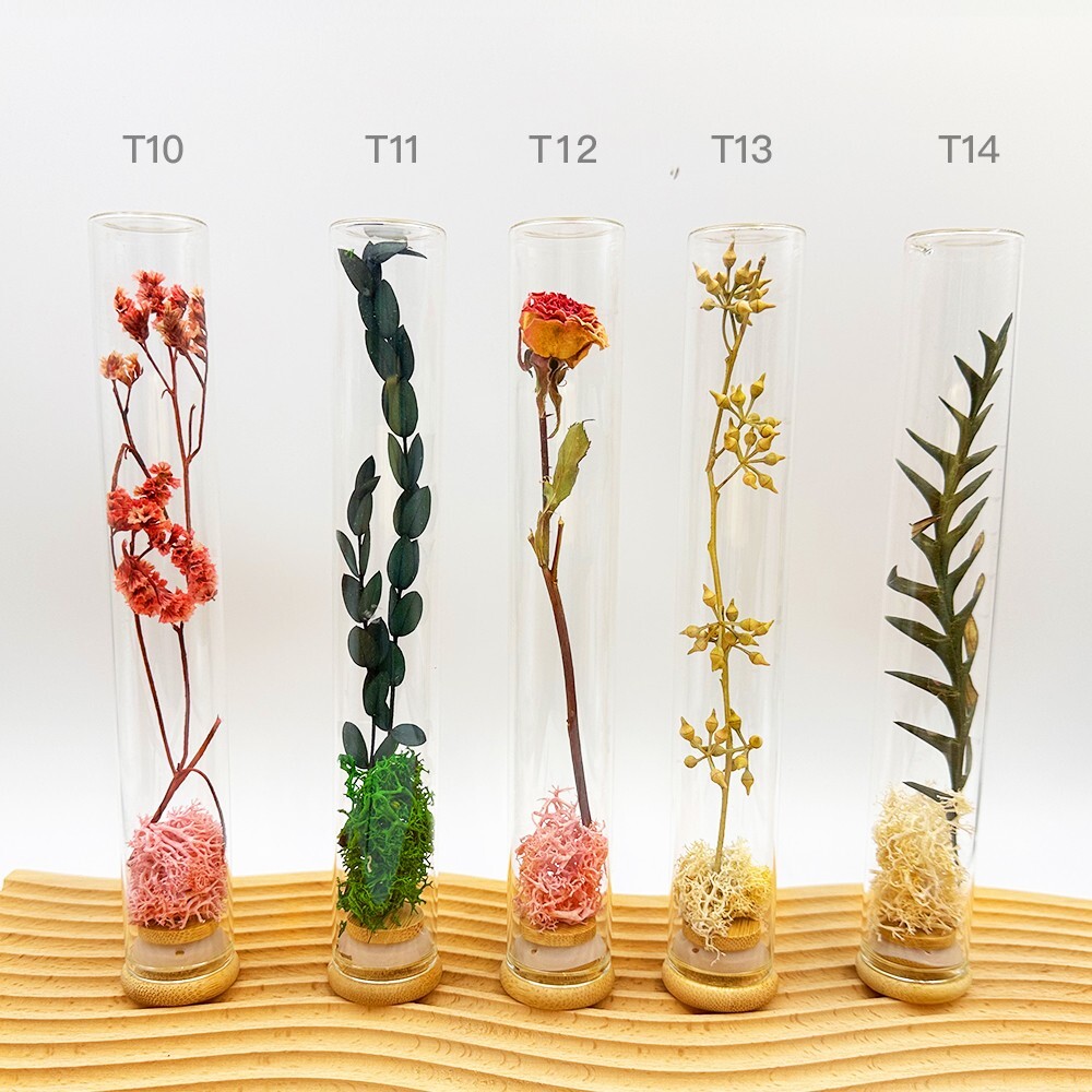 Plant specimens handmade test tube dried flowers immortal flowers holiday birthd