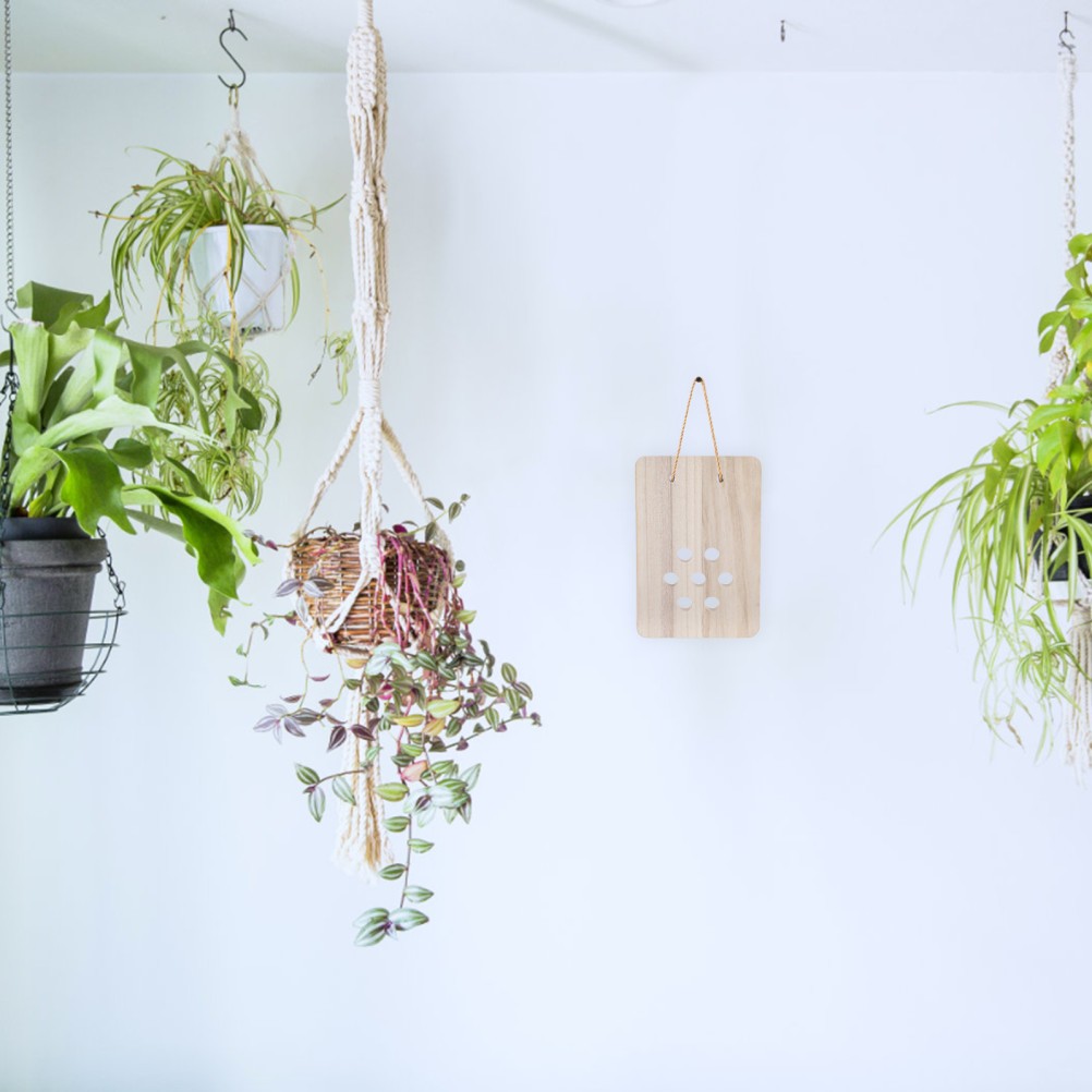 Fern Mounting Board: Wooden Planter – Wall Display Decorative