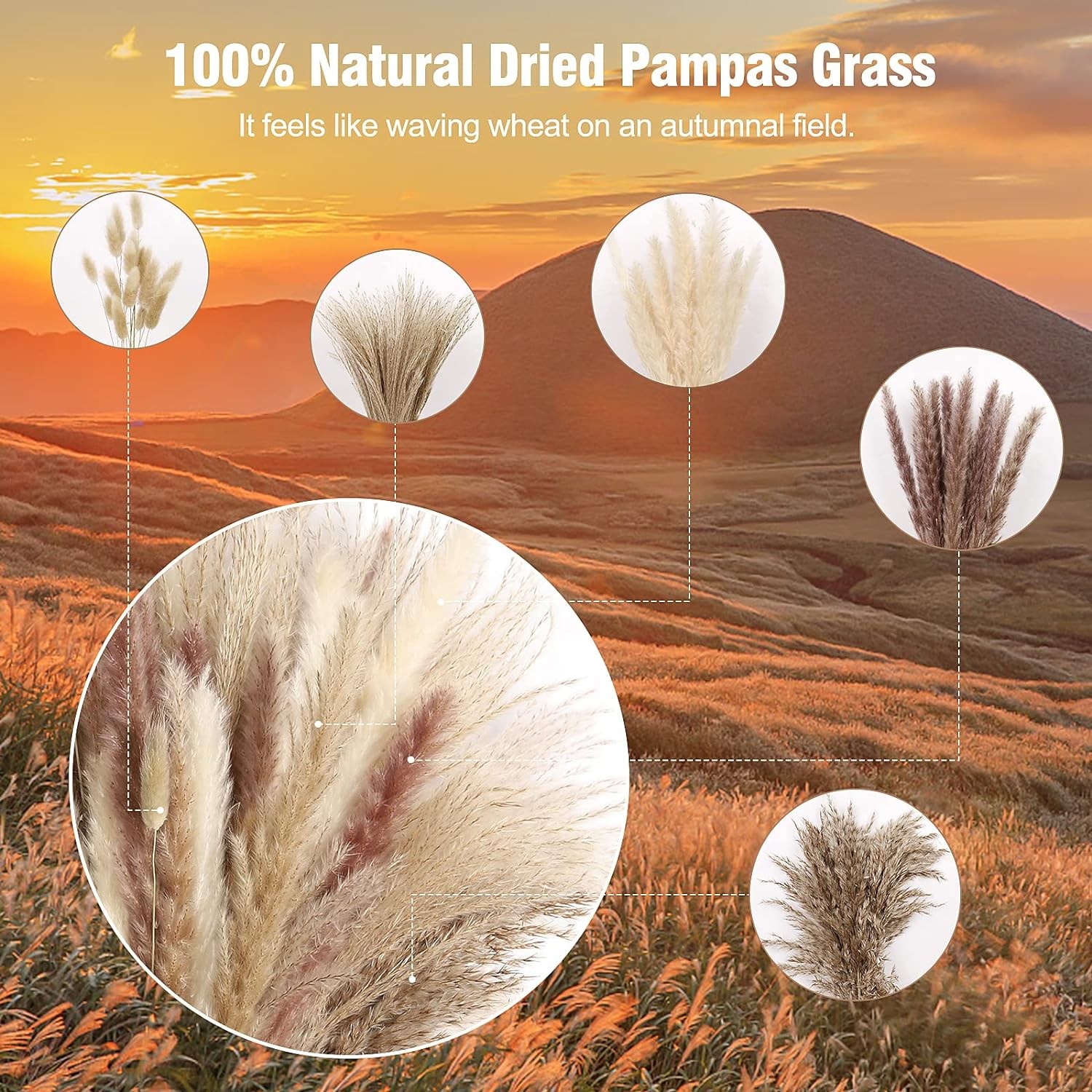 N&T NETING 75Pcs Pampas Grass Decor-10Pcs White Grass, 20Pcs Brown