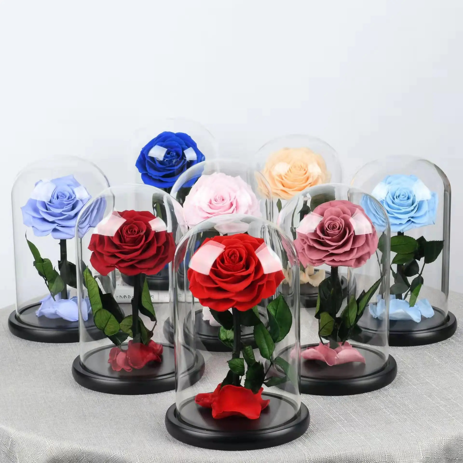 Unbreakable Love: Immortal Preserved Rose Dome – Valentine’s Day Gift