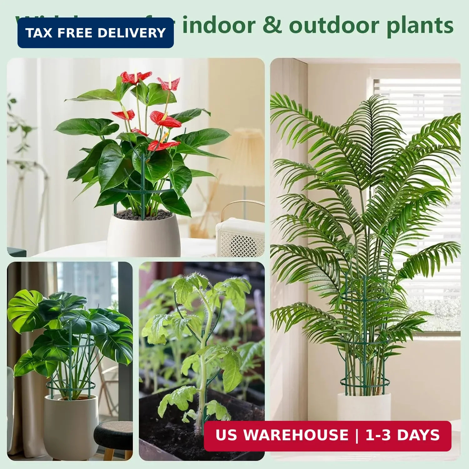 12 Pack Plant Support Stake Half Round Plant Support for Indoor Plants, Stackabl