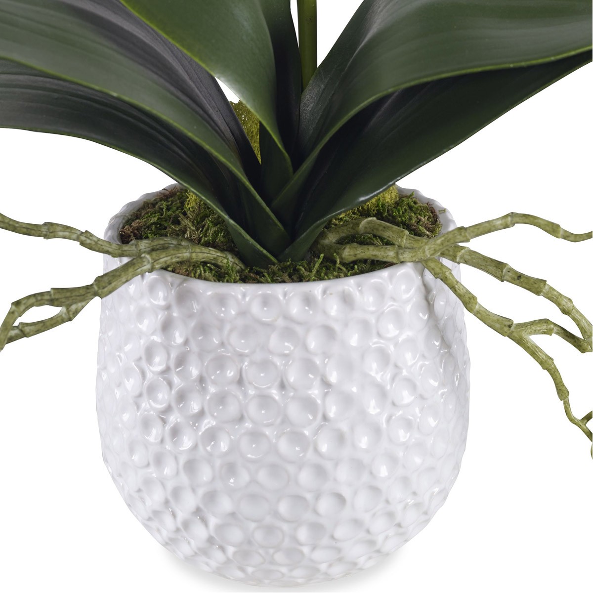 Uttermost 60178 Cami White Ceramic Orchid