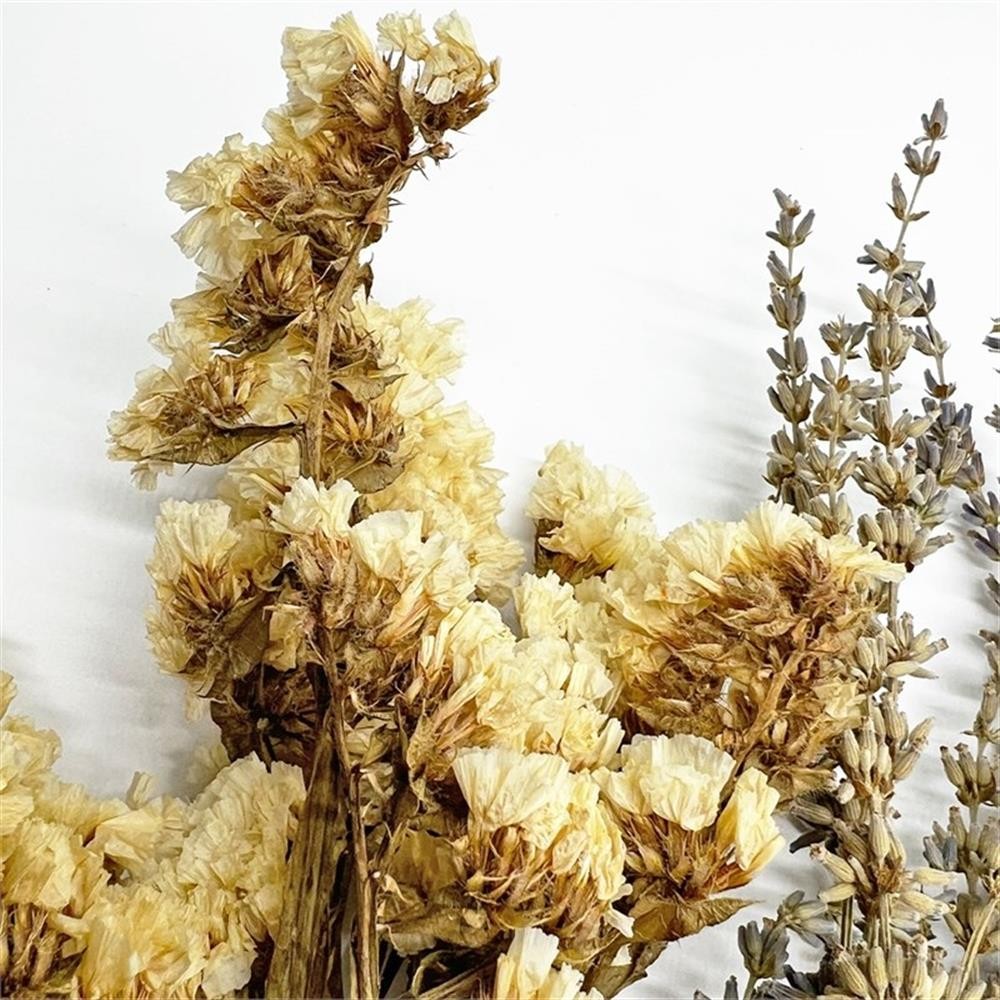 Pemberly Row 10-inch High Real Preserved Mixed Bouquets in Small Size