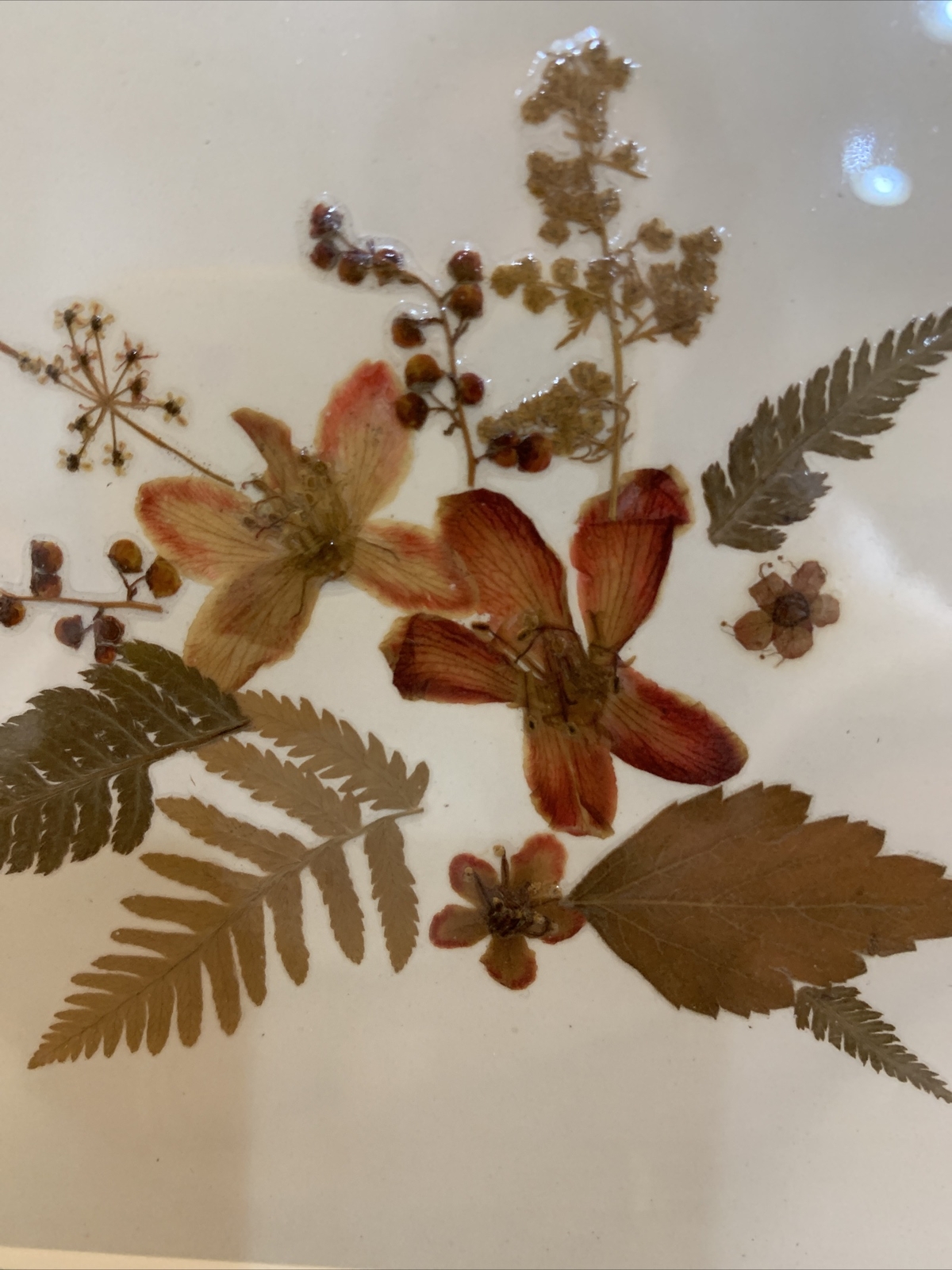 Dried Pressed Flowers Wall Hanging Art Floral Handmade Vintage Framed 9” Square