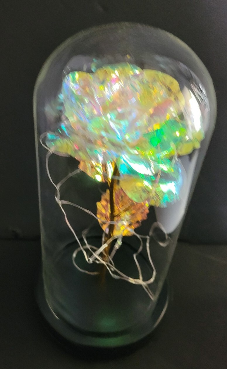 Clear Eternal Rose With LED Lights In 9″ Glass Dome Mothers Valentines Day Gift