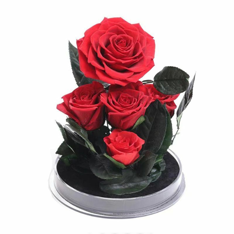 Eternal Flowers Rose Valentine Christmas Wedding Birthday Gifts For Girlfriend