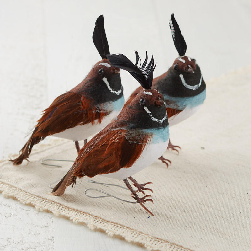 Group of 12 Feathered 3″ California Quail Birds with Wired Feet