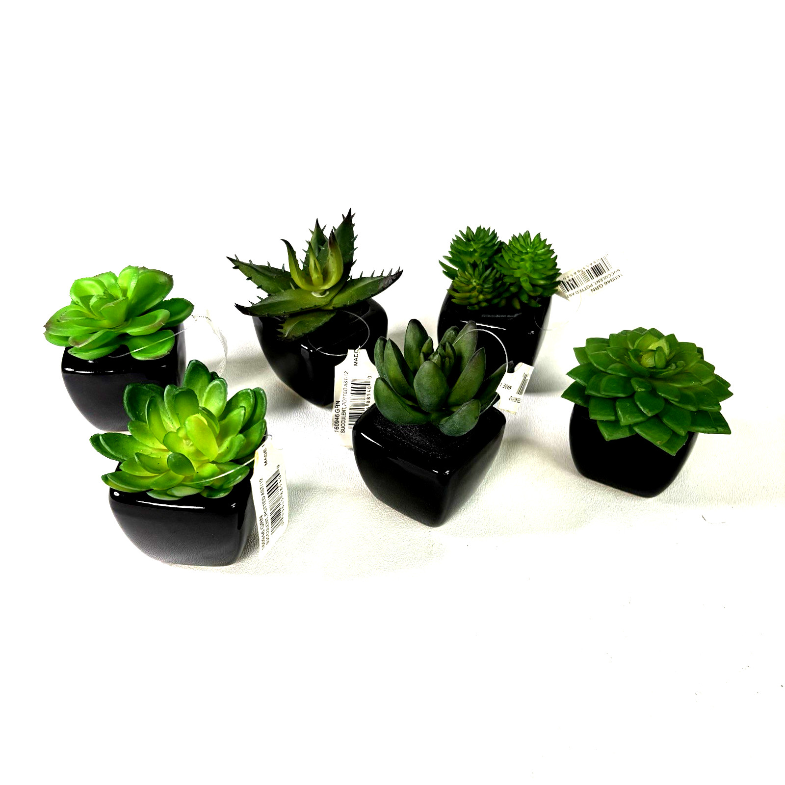 Set of 6 Artificial Mini Succulents in Black Ceramic Pots New With Tags
