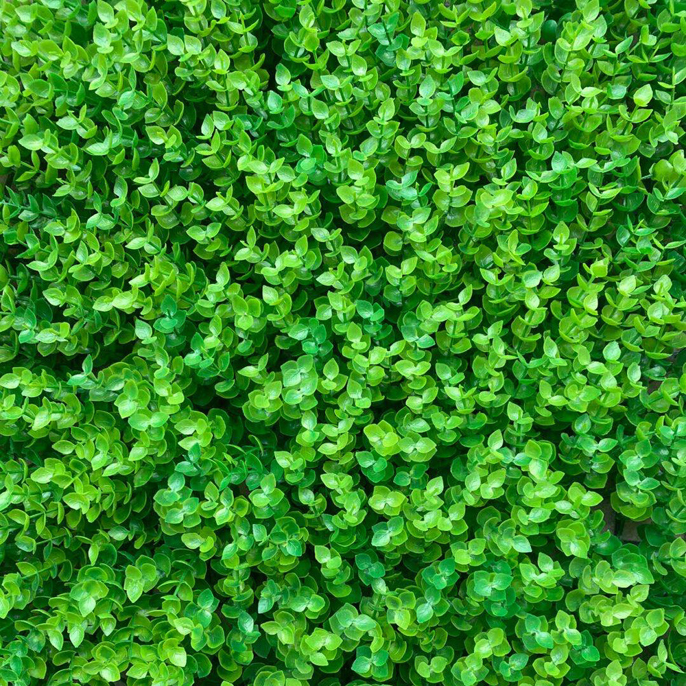 12pc 24″x16″ Artificial Boxwood Hedge Mat Plant Panels Greenery Walls Outdoor