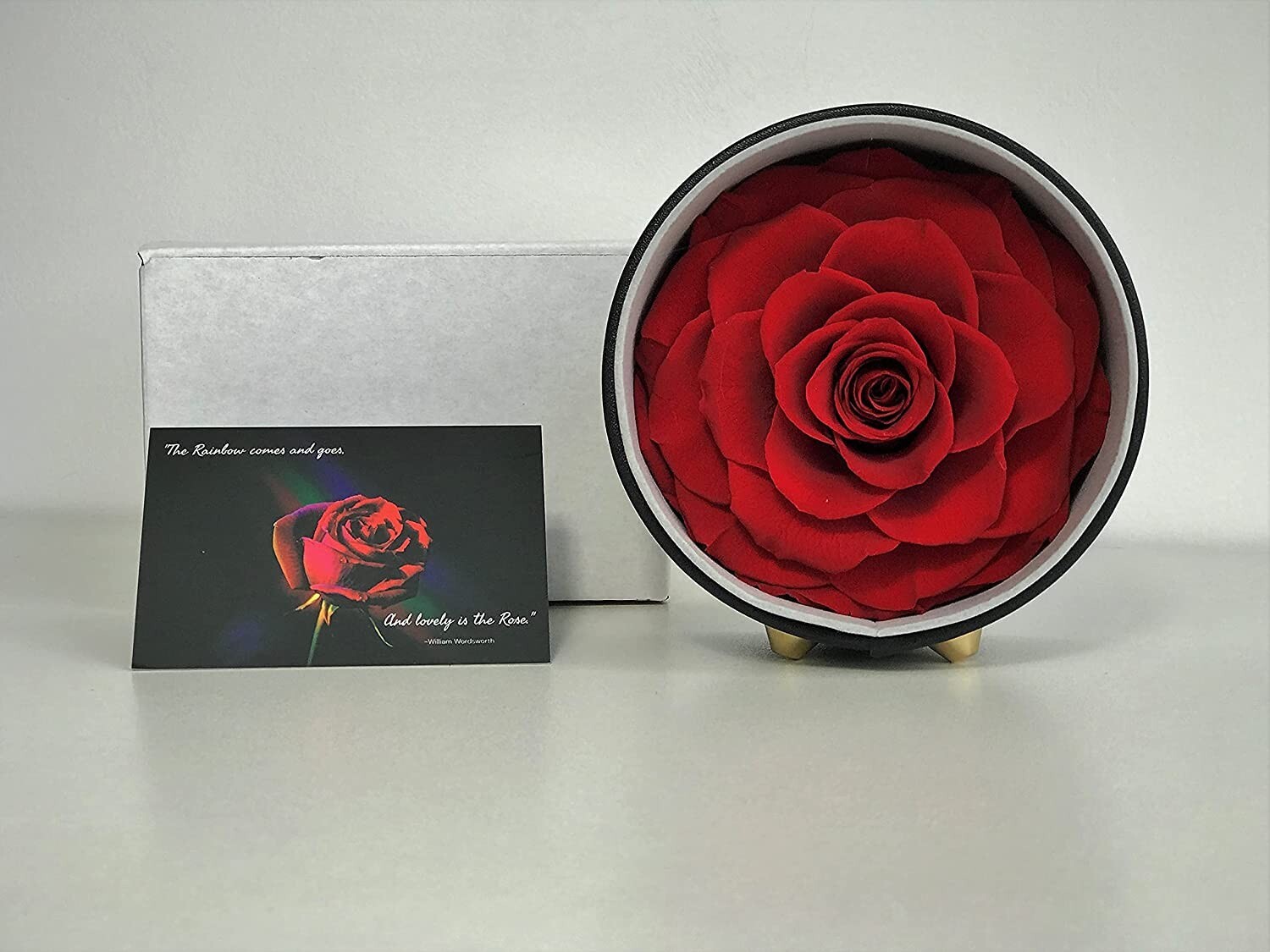 Premium Preserved Rose Large Forever Roses in Leather Gift Box Real Flowers Gift