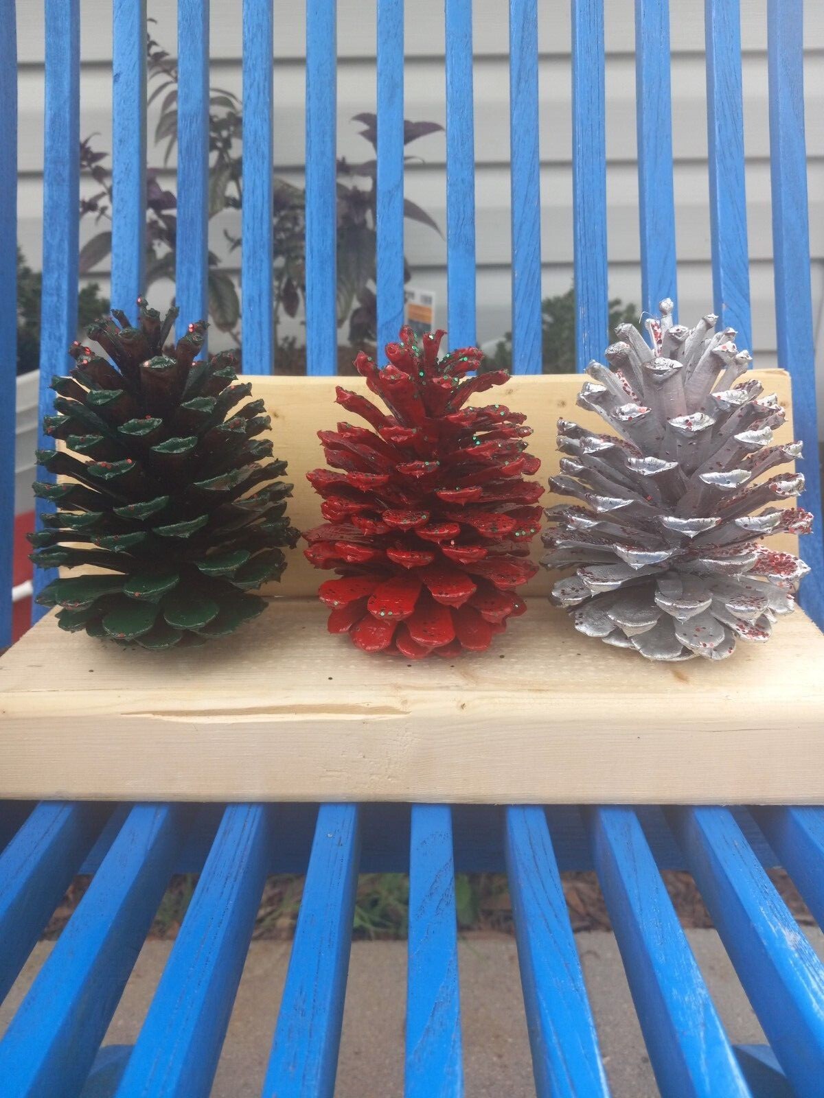 Hand painted pinecones,  various colors.  Set of 6 or 12. Fun holiday decor.