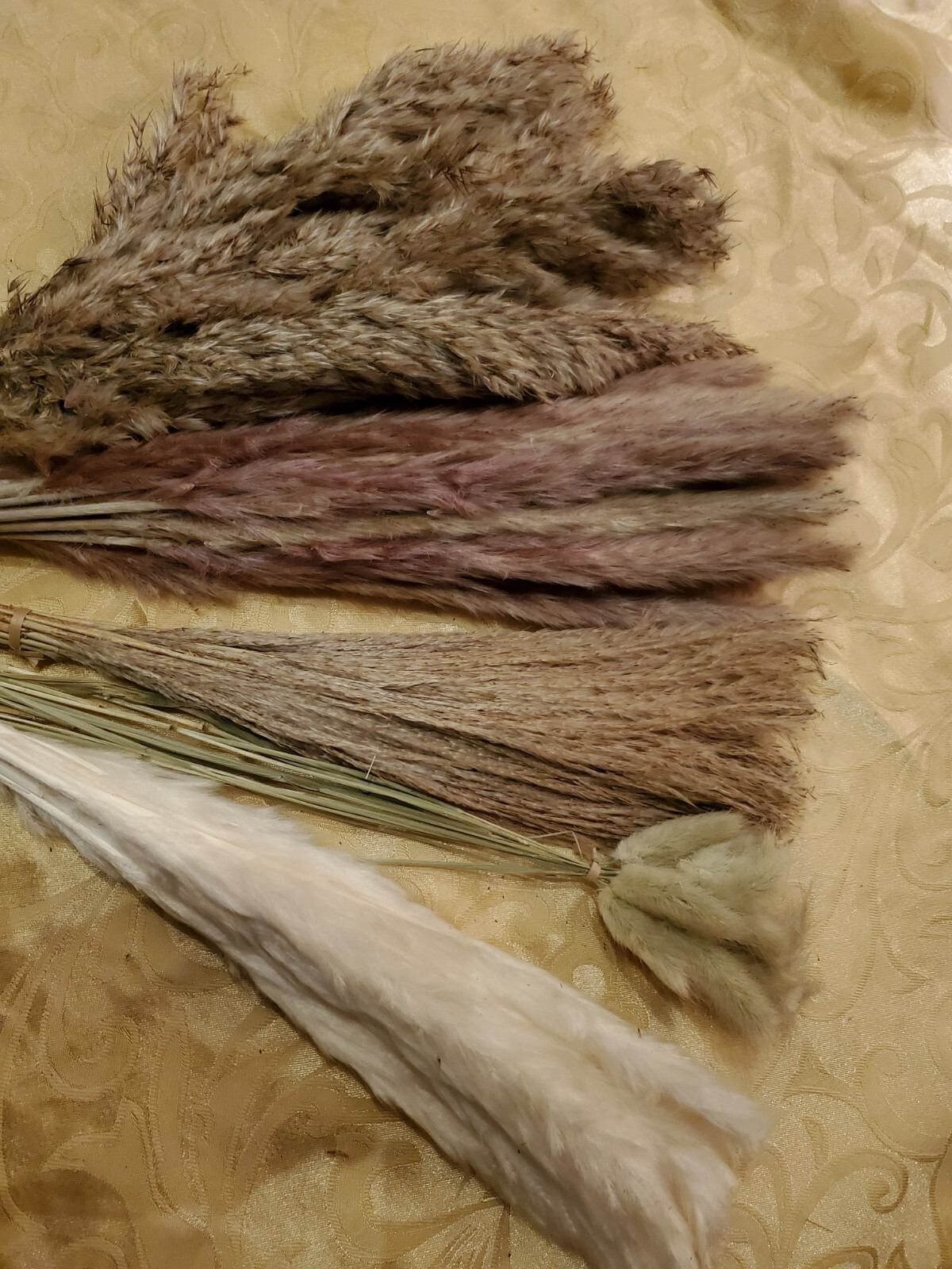 75-Piece Assortment Dried Pampas Grass Individual Stems White Browns 13″-17″ NIB