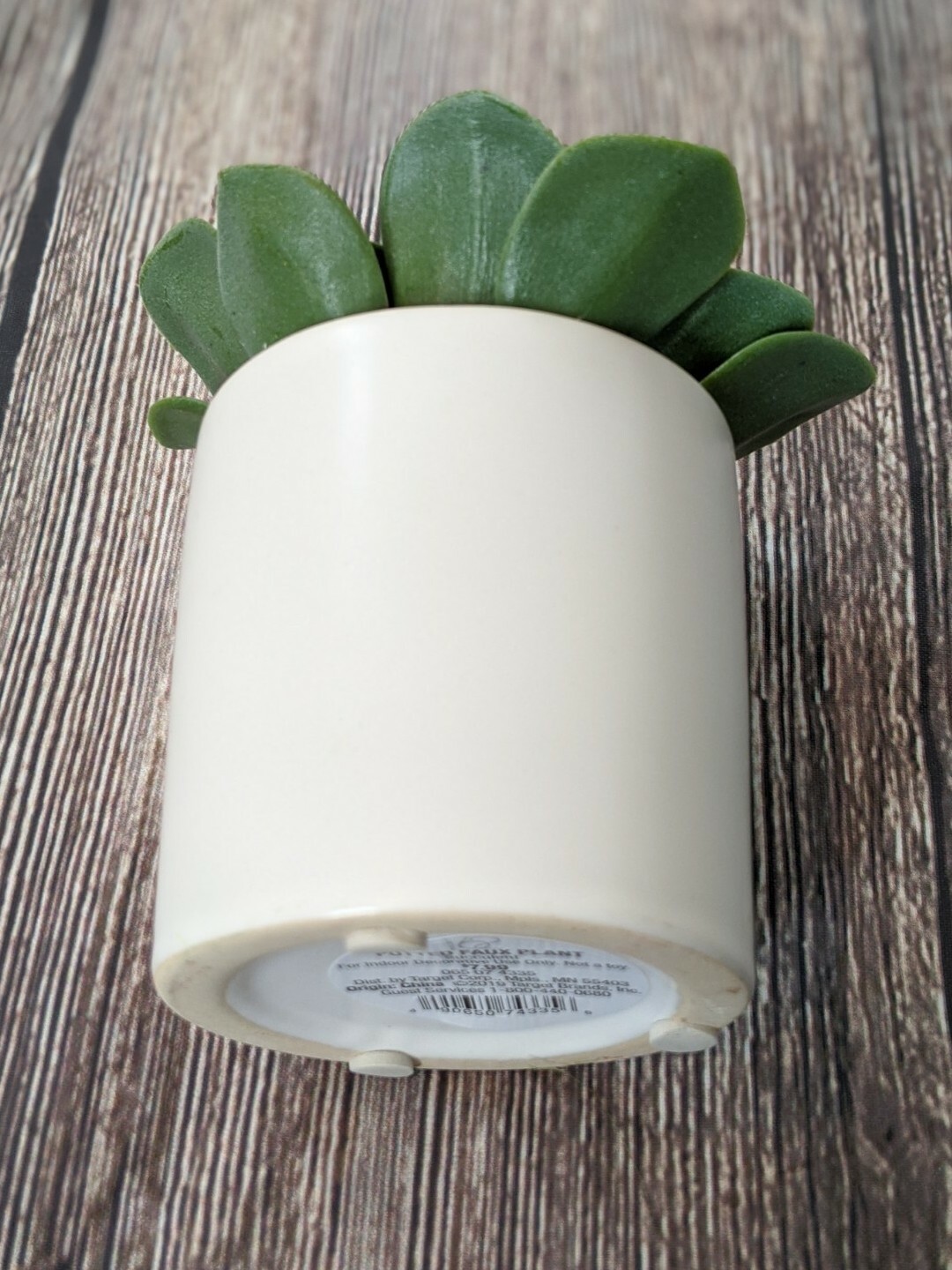 Green Succulent In White Pot 4.5″ x 4″ Project 62 Target Artificial Dudleya