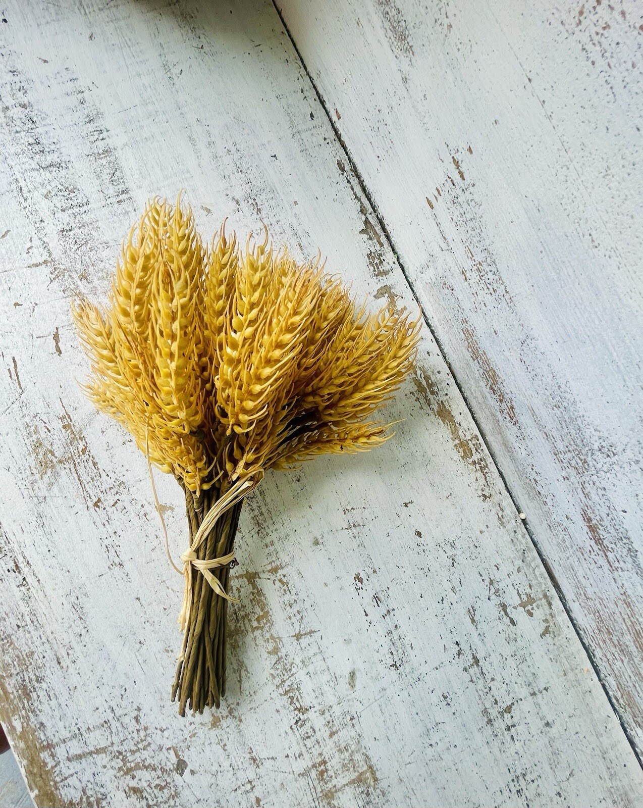 Fall Harvest Wheat Sheaf
