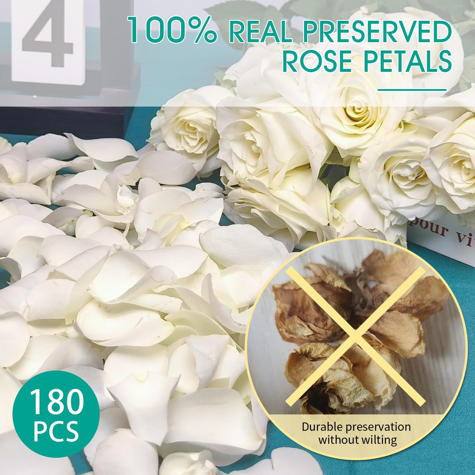 180 Pcs Dried Real White Rose Petals Freeze Preserved Wedding Party Decor