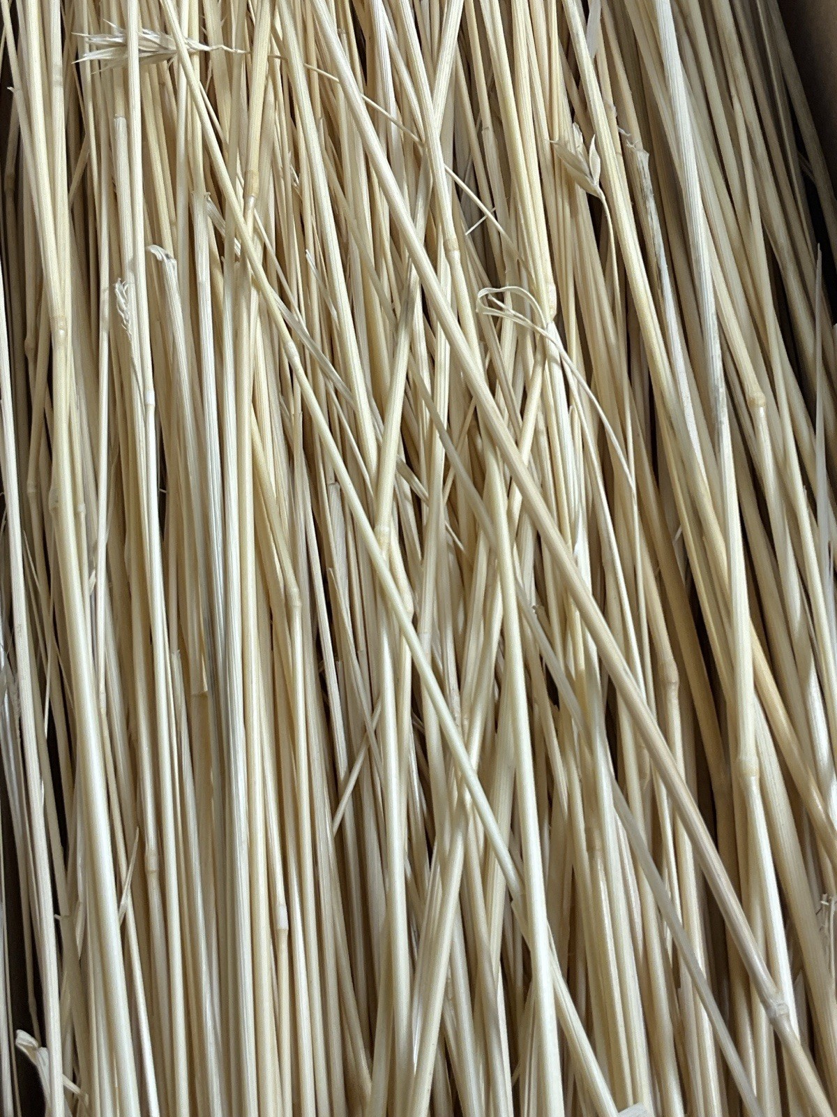 Dried Foxtail Grass Bundle: Rustic Floral Arrangement Supply in Natural Color