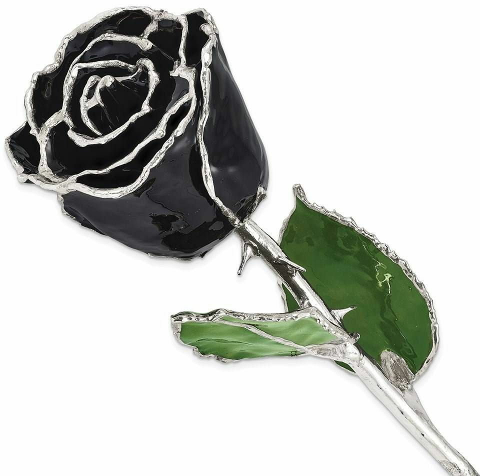 Lacquer Dipped Silver-Tone Trim Black Rose