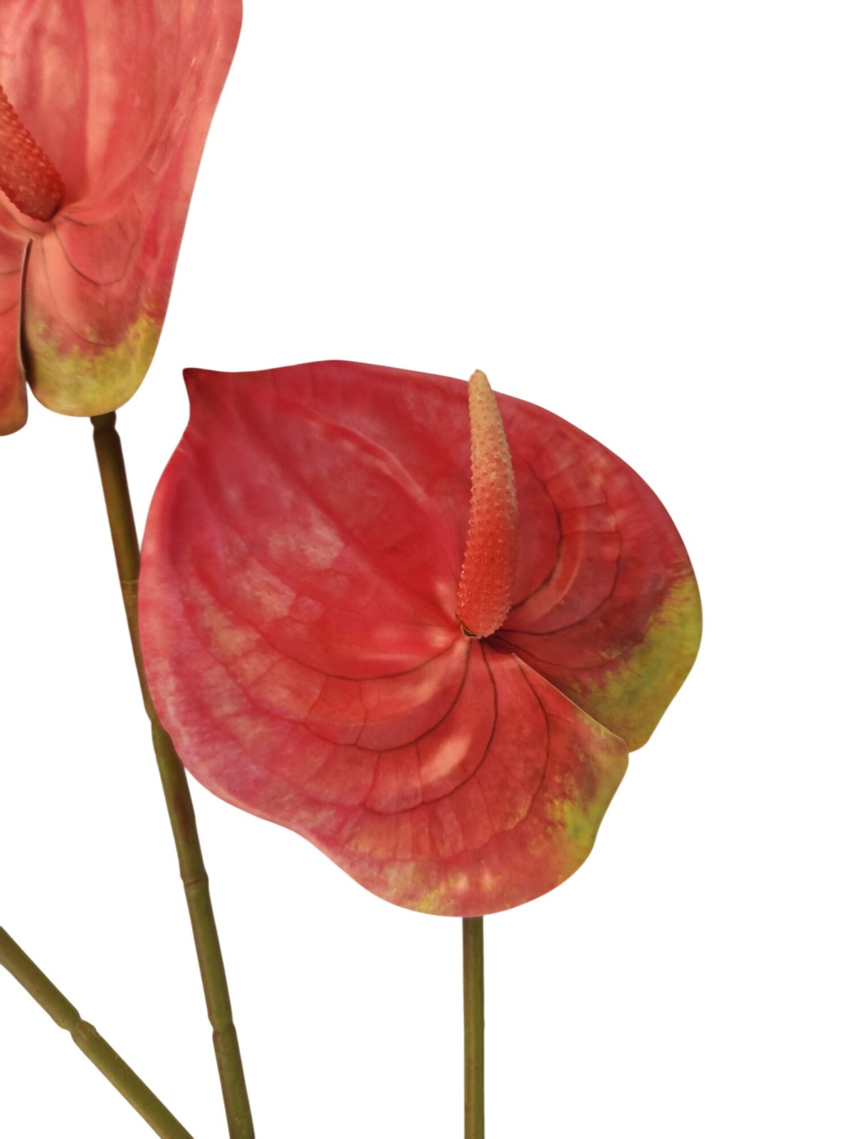 Pink Artificial Anthurium Stems Set of 3, 23 Inch Faux Modern Tropical Decor