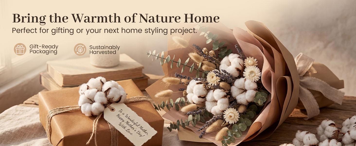 Cotton Stems 8 Packs with 15 Bolls, Natural Dried Flowers Cotton Sprigs for Vase