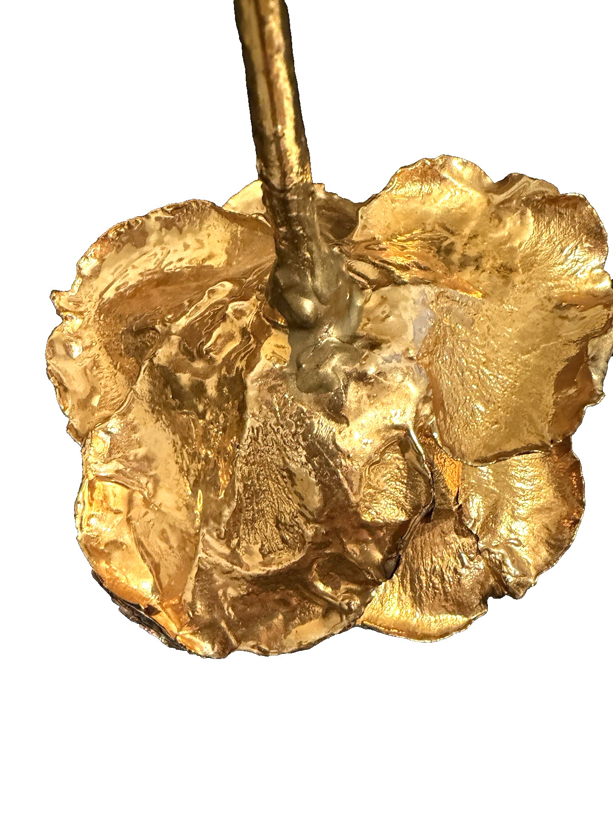 Real Natural Rose Flower Coated Preserved And Dipped In Gold