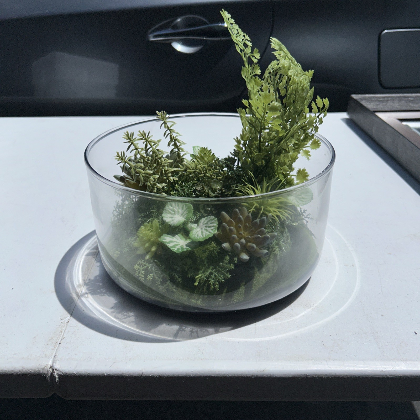 Faux Succulent Terrarium in Glass Bowl Modern Tabletop Home Decor